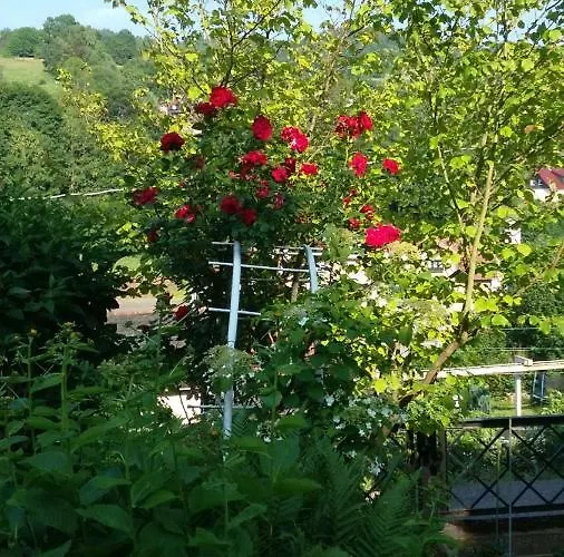 Zum Alten Bergdoktor Bad Liebenstein